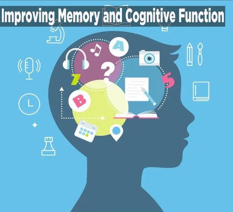 Cognitive Function.jpg